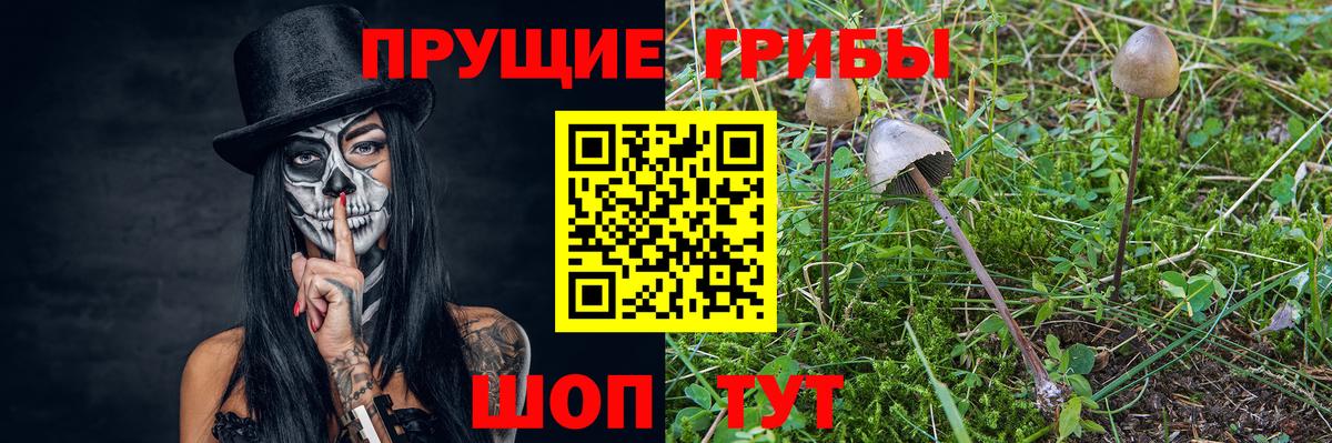 Каменск-Шахтинский  Галлюциногенные грибы GOLDEN TEACHER  Вход с VPN 