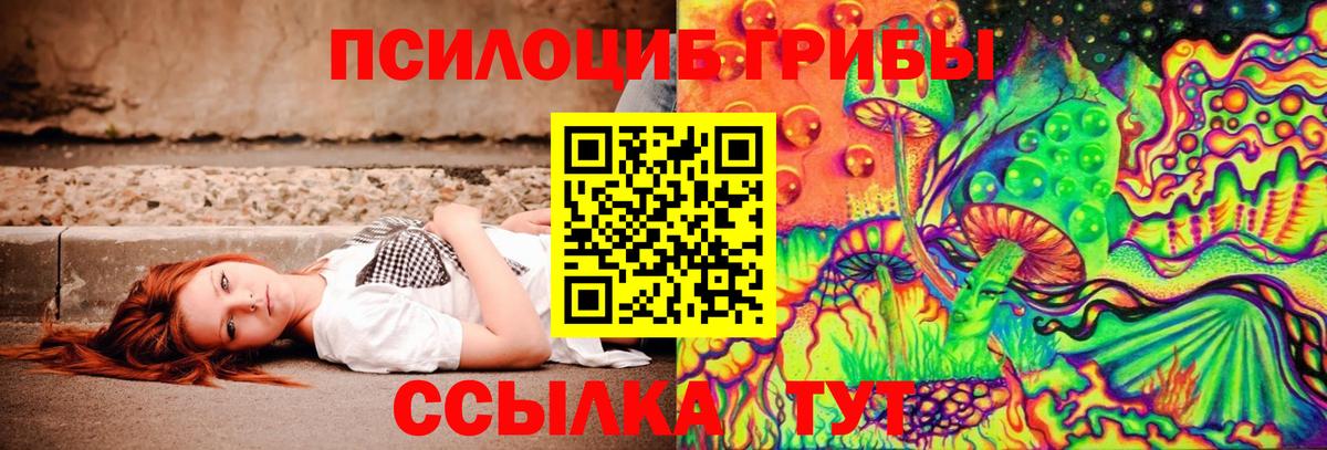 МАРИХУАНА  Каменск-Шахтинский  ГАШИШ  КОКАИН  MDMA  Магазины продажи наркотиков  Меф МЯУ МЯУ кристаллы  Вход с VPN 